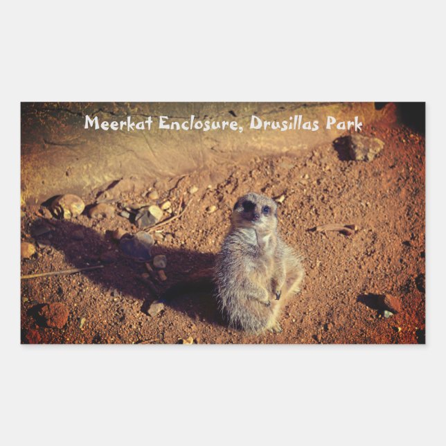 Boîtier Meerkat, Autocollant du parc Drusillas (Devant)