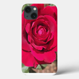 Boîtier téléphonique Coque Rose Rouge