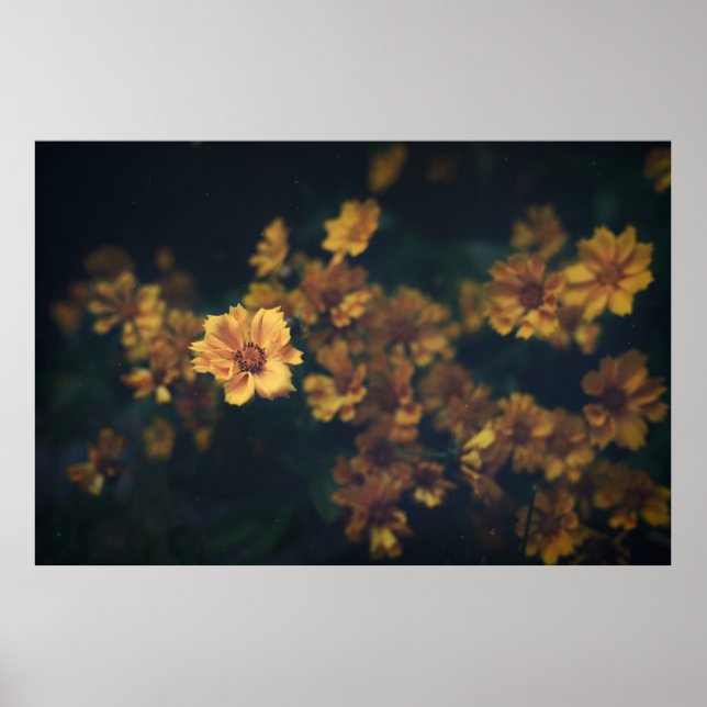 BOKEH FOTOGRAFIE DER GELBEN BLUMEN POSTER (Vorne)
