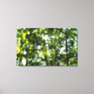 Bokeh im Frühjahr Leinwanddruck