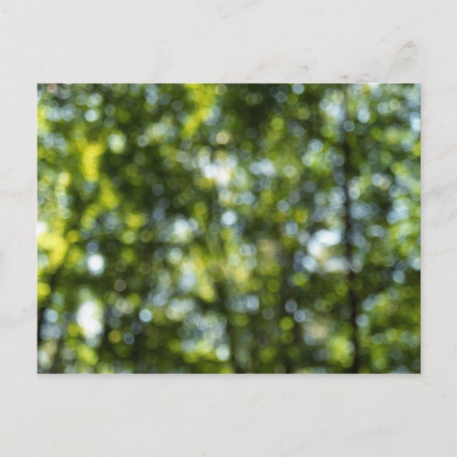 Bokeh im Frühjahr Postkarte (Vorderseite)