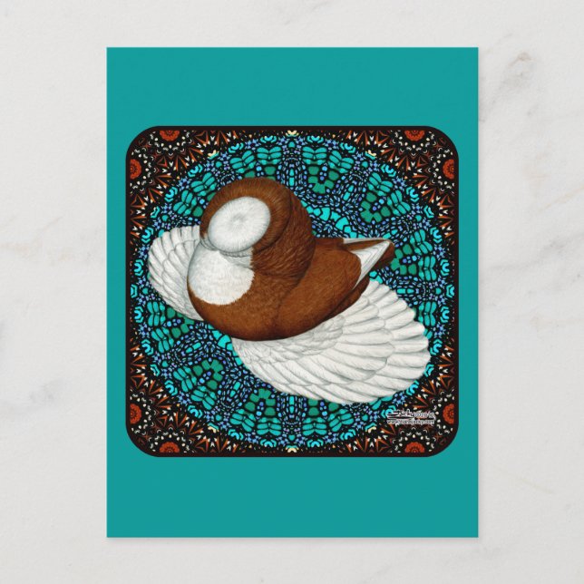 Bokhara Pigeon Extravagant Postkarte (Vorderseite)