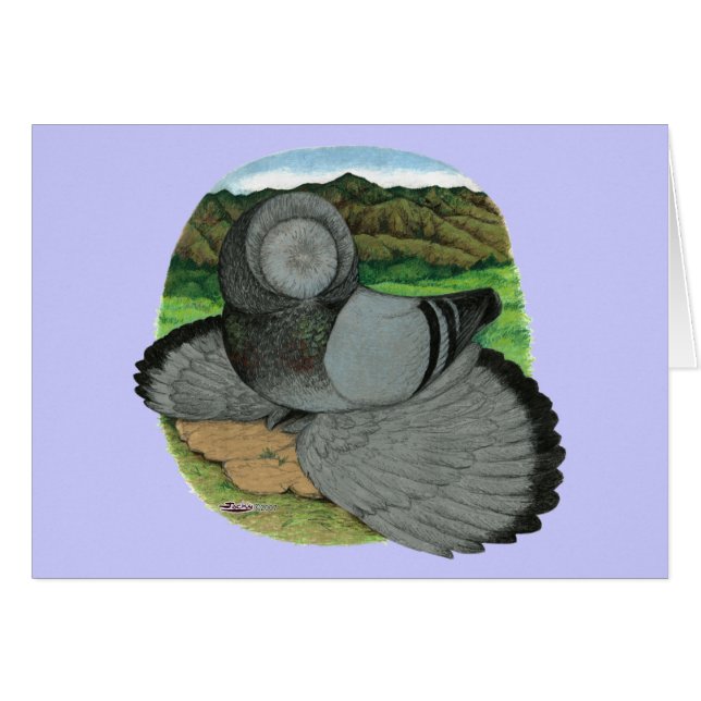 Bokhara Trumpeter Pigeon Blue (Vorderseite (Horizontal))