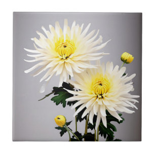 Bold Chrysanthemum Abstrakt Fliese