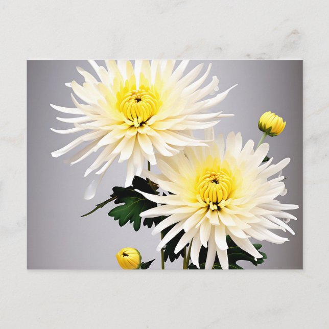 Bold Chrysanthemum Abstrakt Postkarte (Vorderseite)