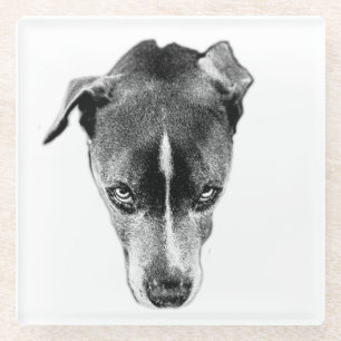Bold Pitbull Mix Blick Moderne Kunst Untersetzer
