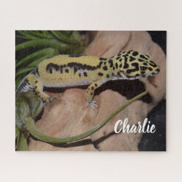 Bold Yellow Leopard Gecko