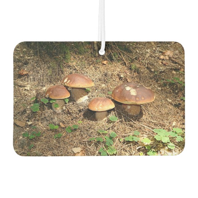 boletus autolufterfrischer (Vorderseite)
