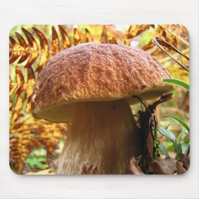 BOLETUS ESSBAR MOUSEPAD (Vorne)