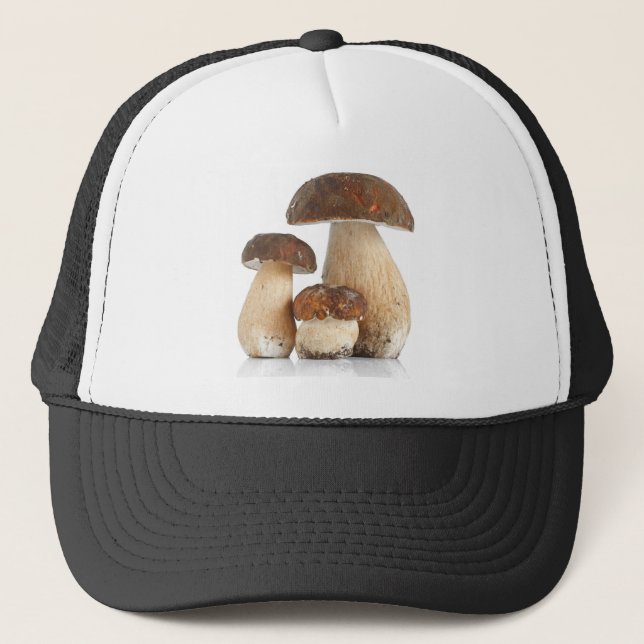 Boletus essbar truckerkappe (Vorderseite)