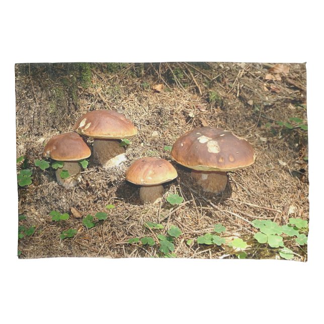 boletus kissenbezug (Vorderseite)