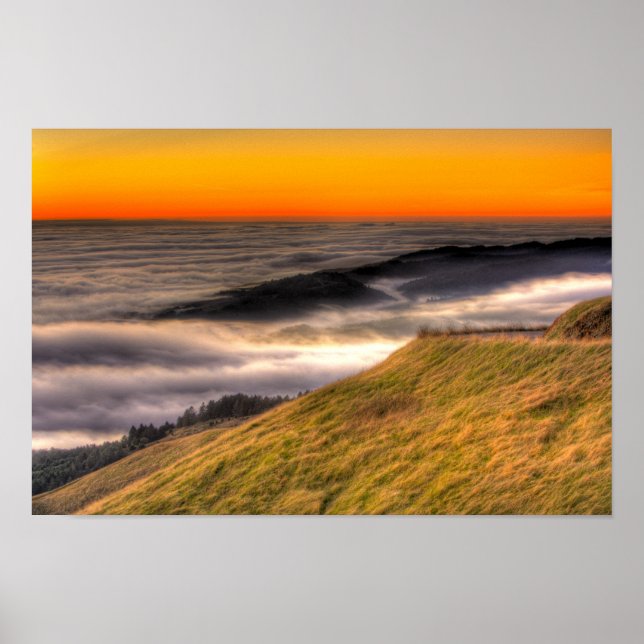 Bolinas Fog Poster (Vorne)