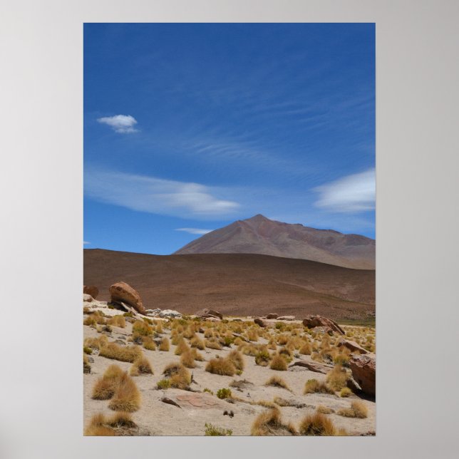 Bolivian Altiplano Wüste Landschaft Poster (Vorne)