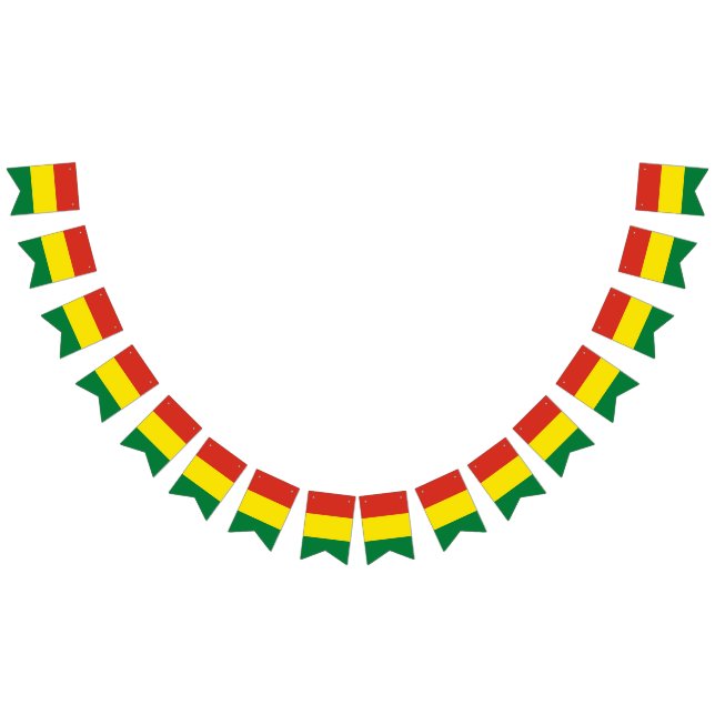 Bolivien-Fahnenbanner Wimpelkette (Alle)