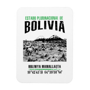 Bolivien Magnet
