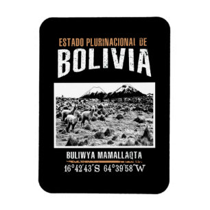 Bolivien Magnet