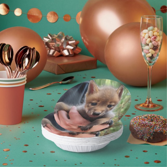 Bols En Carton Coyote Cub (Multi)