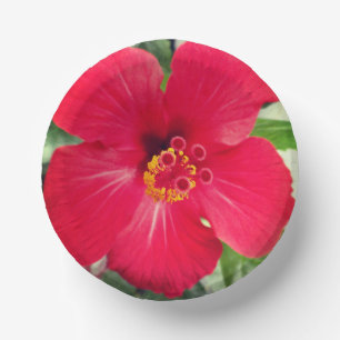 Bols En Carton Fleur rouge d'Hibiscus Rosa-sinensis