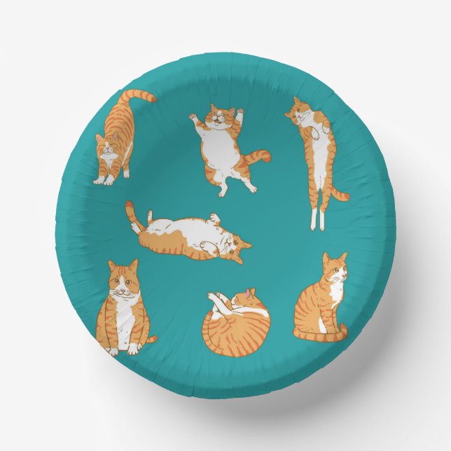 Bols En Carton Orange Cats Funny (Recto)