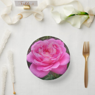 Bols En Carton Rose rose romantique 'Léonard de Vinci'