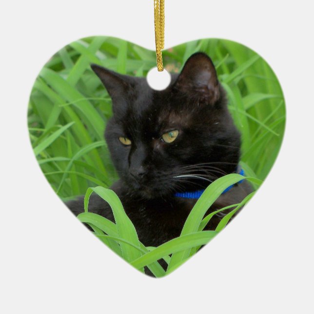 Bombay Black Cat Birthday Ornament (Vorne)