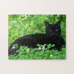 Bombay-Katze liegt in grünem Klee-Puzzle