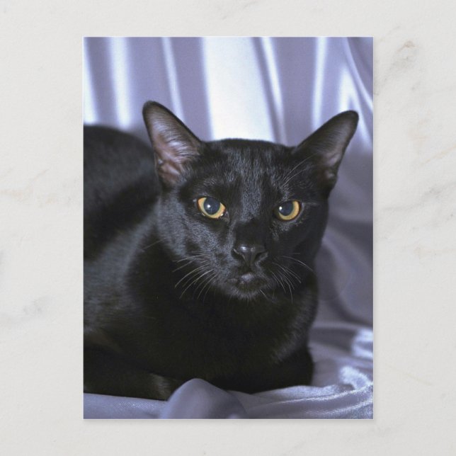 Bombay Postkarte (Vorderseite)