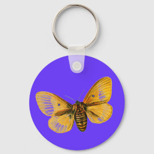 Bombyx quercus weiblich schlüsselanhänger
