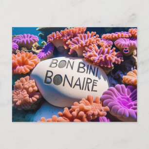 Bon bini bonaire Postkarte