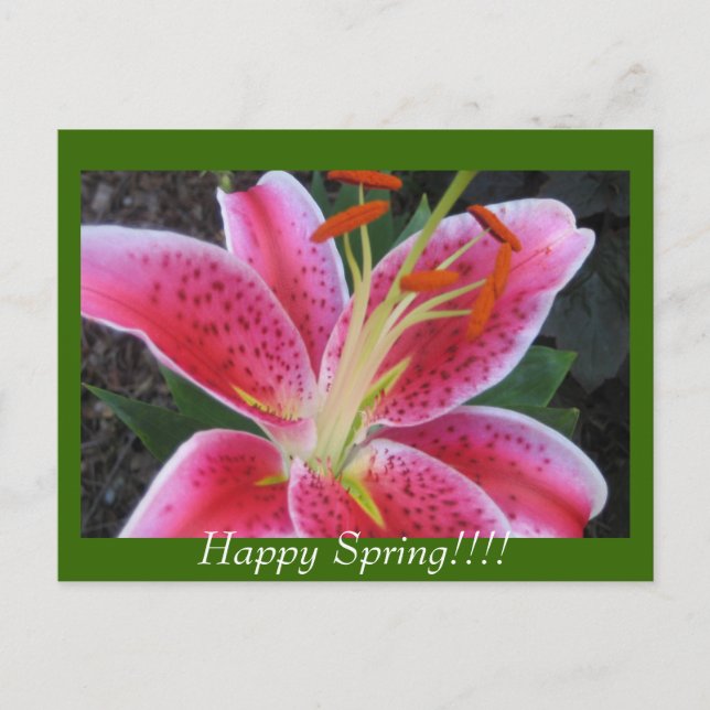 Bon Printemps ! ! Carte postale (Devant)