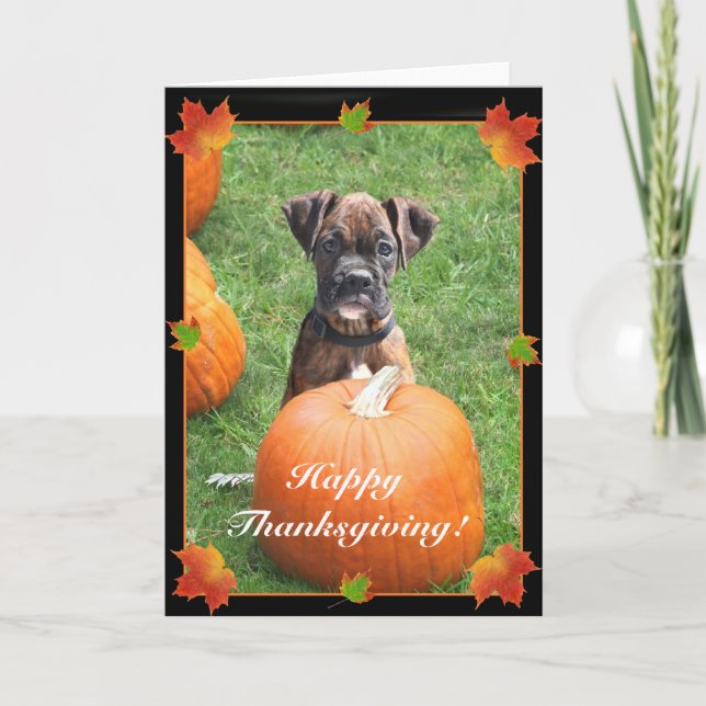 Bon thanksgiving boxer chiot carte de voeux (Devant)