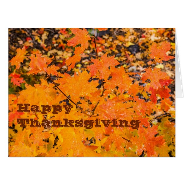 bon thanksgiving - Cartes - Vacances (Devant horizontal)