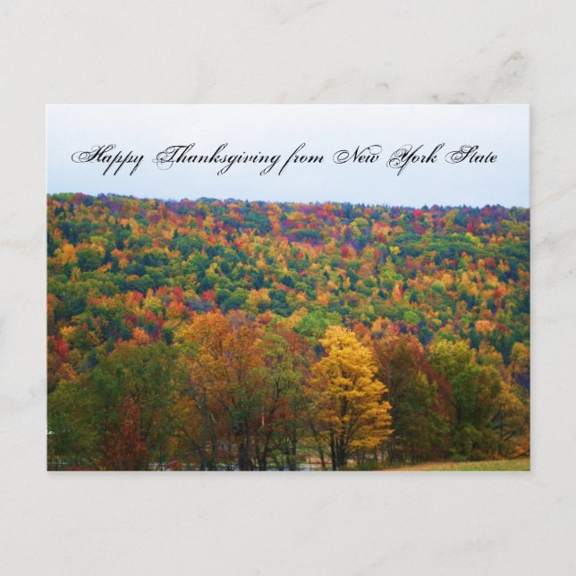 BON THANKSGIVING DE NEW YORK Carte postale (Devant)