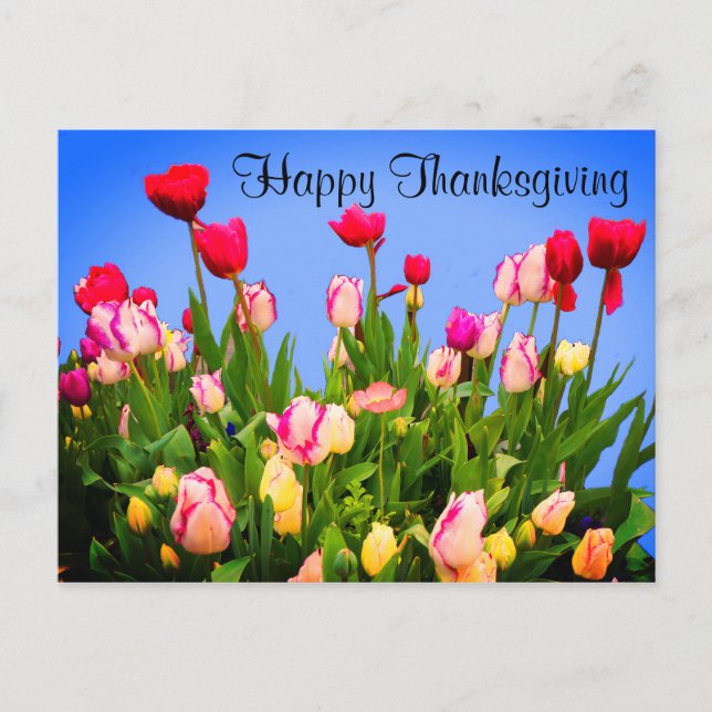 Bon thanksgiving Diverses Tulipes #3 Carte postale (Devant)
