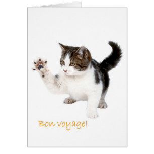 Bon Voyage !