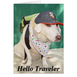 Bon Voyage