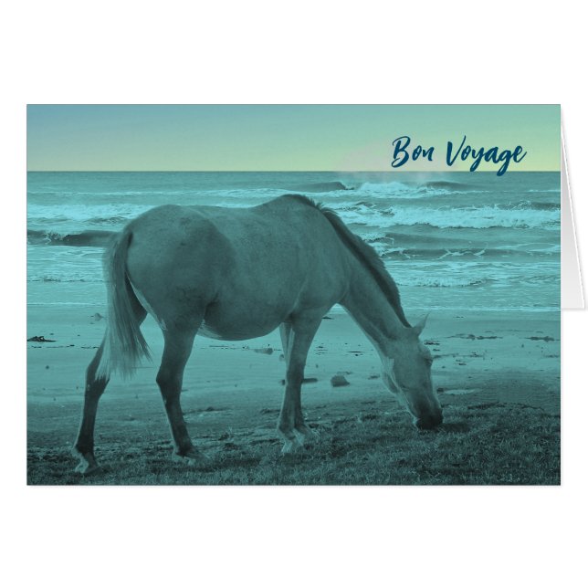 Bon Voyage Horse am Lake Michigan (Vorderseite (Horizontal))