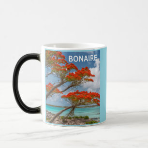 Bonaire bon bini verwandlungstasse