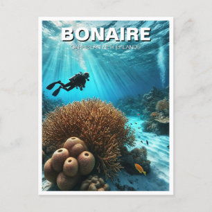 Bonaire Caribbean Netherlands Scuba Diver Diver Postkarte