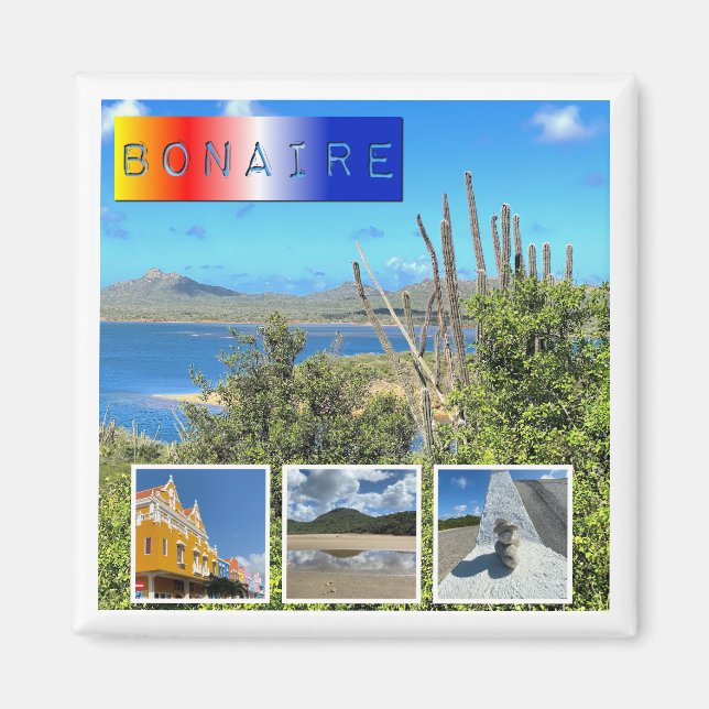 Bonaire Foto Collage Magnet (Vorne)