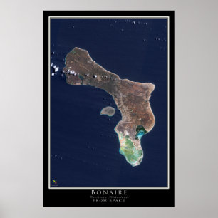 Bonaire Satellite Poster Map