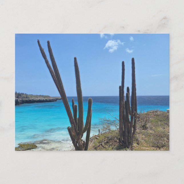 Bonaire Seaview Postkarte (Vorderseite)