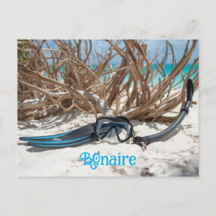 Bonaire Taucherparadies Postkarte