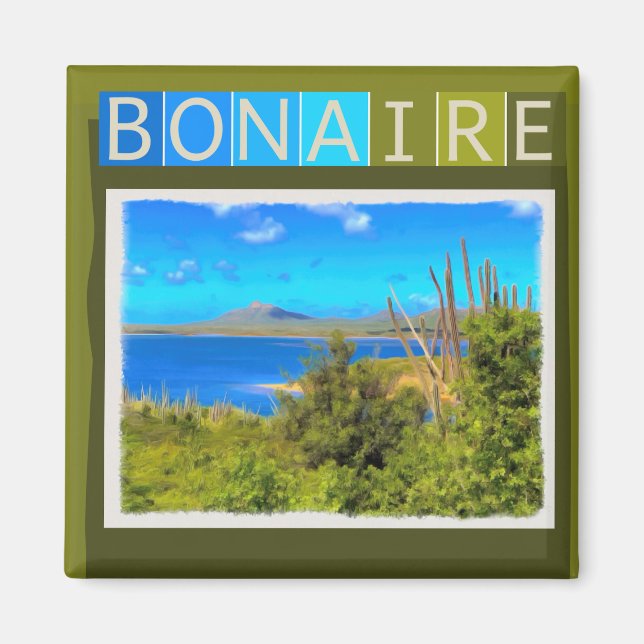 Bonaire Watercolor Magnet (Vorne)