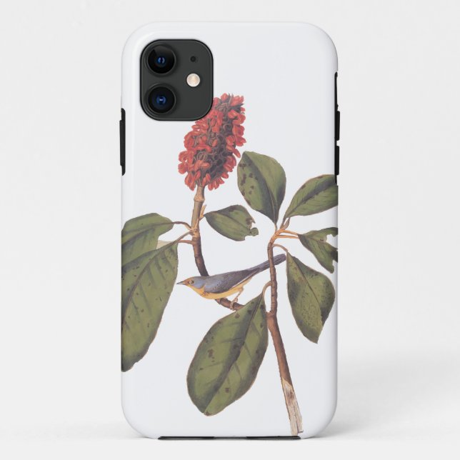 Bonaparte Flycatcher Canada Warbler Audubon Bird Case-Mate iPhone Hülle (Rückseite)