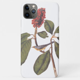 Bonaparte Flycatcher Canada Warbler Audubon Bird Case-Mate iPhone Hülle