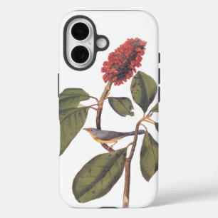 Bonaparte Flycatcher Canada Warbler Audubon Bird iPhone 16 Hülle