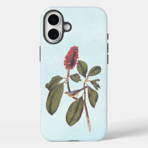 Bonaparte Flycatcher Canada Warbler Audubon Bird iPhone 16 Plus Hülle