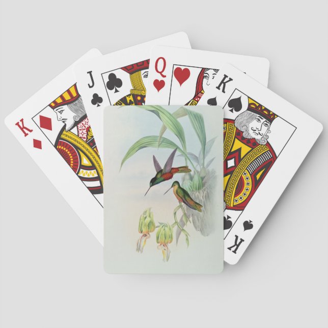 Bonapartes Stern konfrontierte den Kolibri Spielkarten (Rückseite)