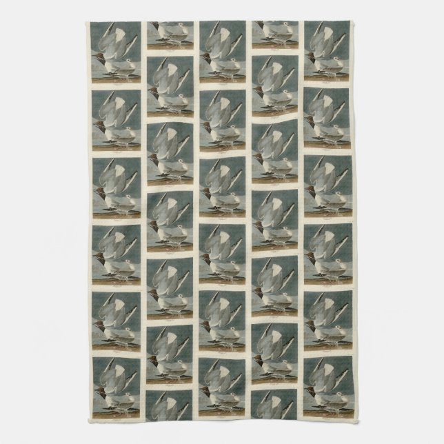 Bonapartian Gull von Audubons Vögeln von Amerika Geschirrtuch (Vertikal)